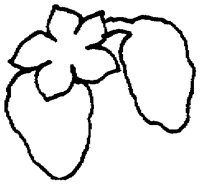 PAA029BE.TIF