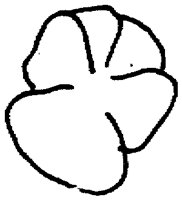 PAA029AU.TIF