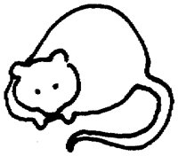 PAA028DG.TIF