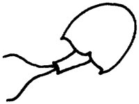 PAA028CY.TIF