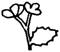 PAA028CO.TIF