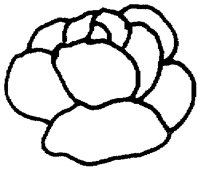 PAA028CB.TIF