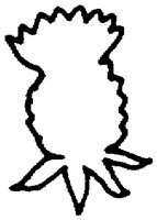 PAA028BH.TIF