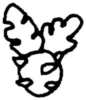 PAA028BC.TIF