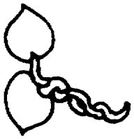 PAA028BB.TIF