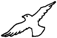 PAA028AZ.TIF