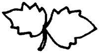 PAA028AW.TIF