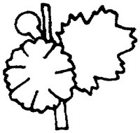 PAA028AD.TIF