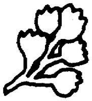 PAA028AA.TIF