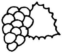 PAA027DP.TIF