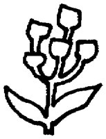 PAA027CY.TIF