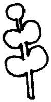 PAA027CP.TIF