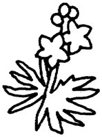 PAA027CJ.TIF