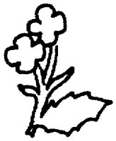 PAA027BO.TIF