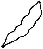 PAA027BI.TIF
