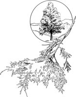 TNE010A.TIF
