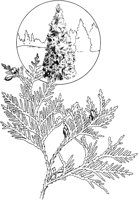 TNE001A.TIF