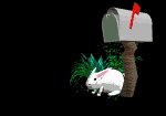 BUNNY~40.GIF