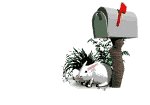 BUNNY~38.GIF