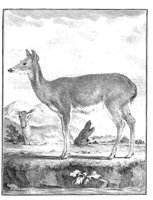 ANI148A.TIF