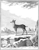 ANI147A.TIF