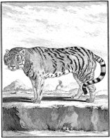 ANI119A.TIF