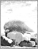ANI067A.TIF