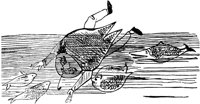 ELN041A.TIF