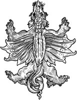 FMI036E.TIF