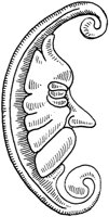 FMI048D.TIF