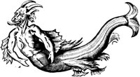FMI043A.TIF