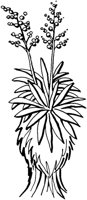 FRA029C.TIF