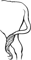 FRA021A.TIF