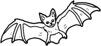 FCP006D.TIF