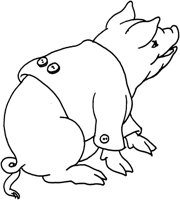 FWN035C.TIF