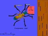 ANT.GIF