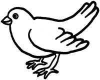 FWN022R.TIF