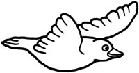 FWN022C.TIF