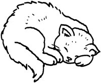 FWN018N.TIF