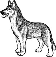 FSW039C.TIF