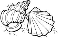 FSW031A.TIF