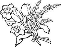 FSW012A.TIF