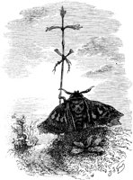 FIG162A.TIF