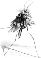 FIG155A.TIF