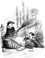 FIG149B.TIF