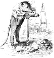 FIG121A.TIF