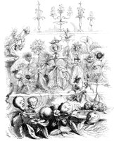 FIG045A.TIF