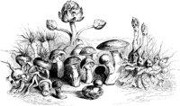 FIG026A.TIF
