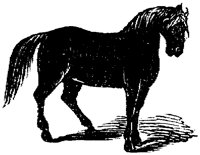 HDC019A.TIF