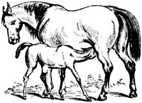 HDC016G.TIF